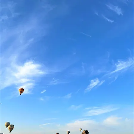 فندق Gumus